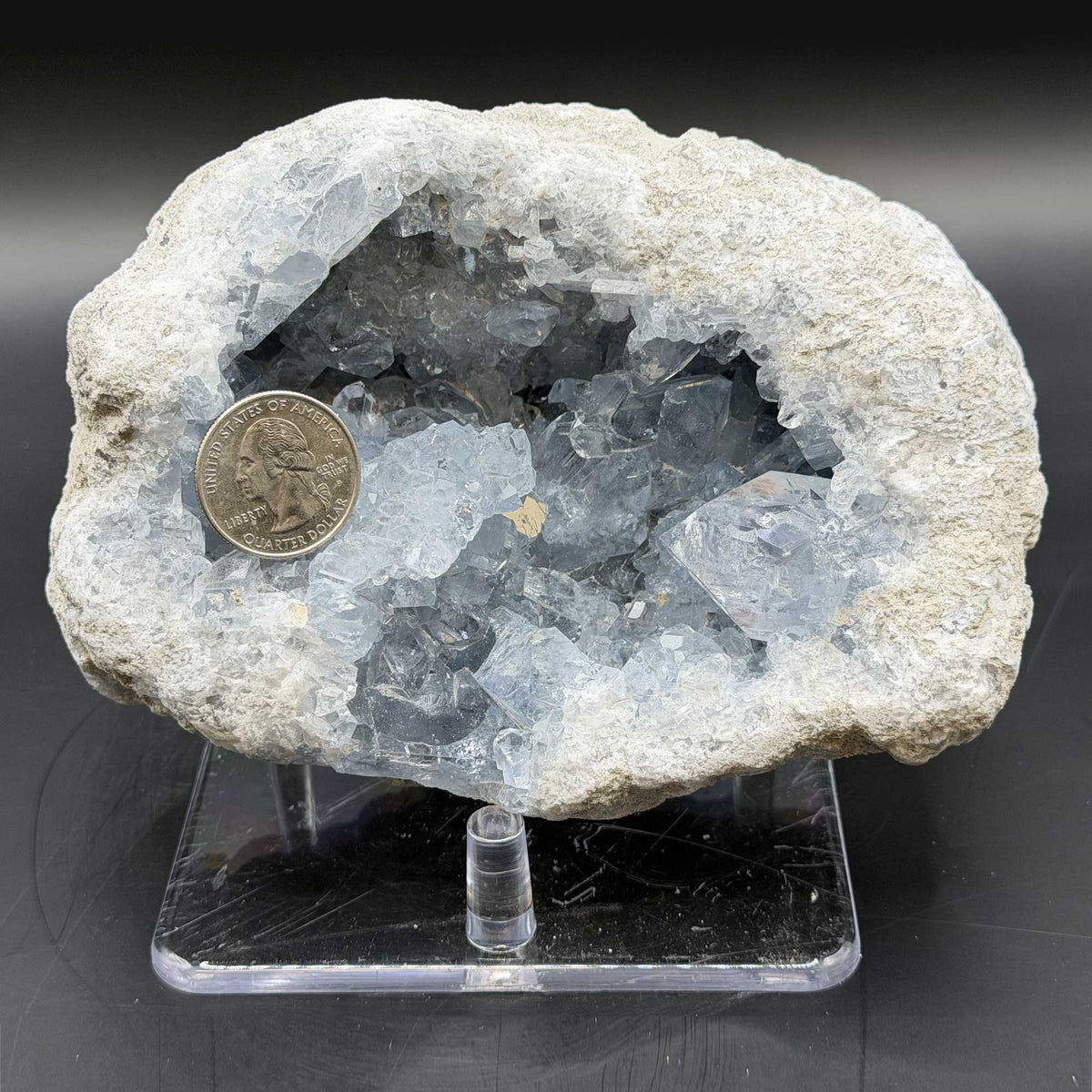 Celestite Crystal Geode - Gem Avenue Retail