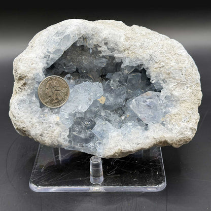 Celestite Crystal Geode - Gem Avenue Retail