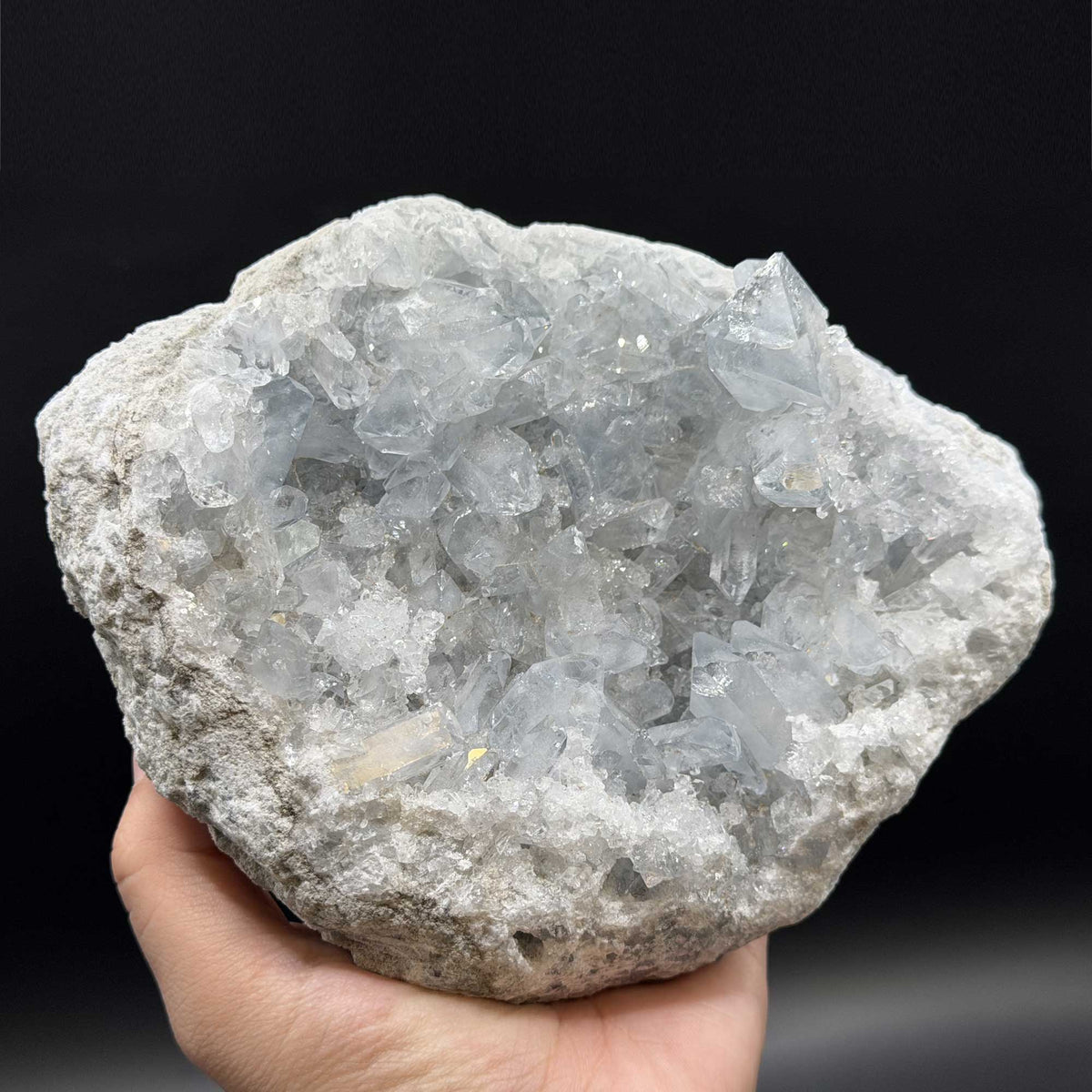 Celestite Crystal Geode - Gem Avenue Retail