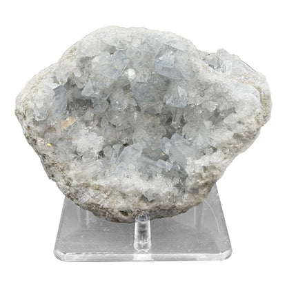 Celestite Crystal Geode - Gem Avenue Retail