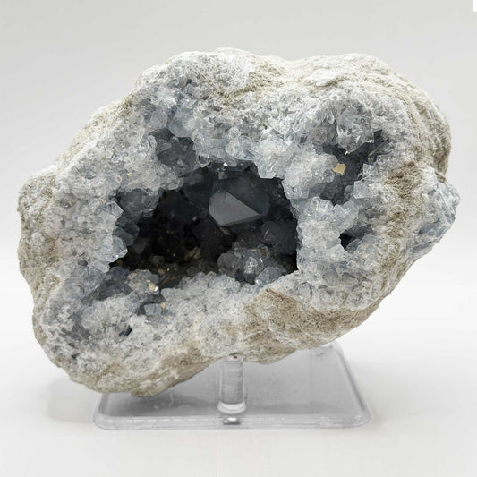 Celestite Crystal Geode - Gem Avenue Retail