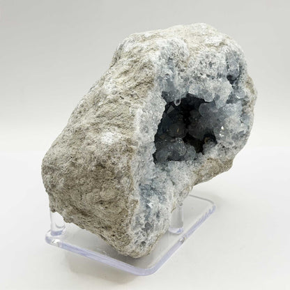 Celestite Crystal Geode - Gem Avenue Retail