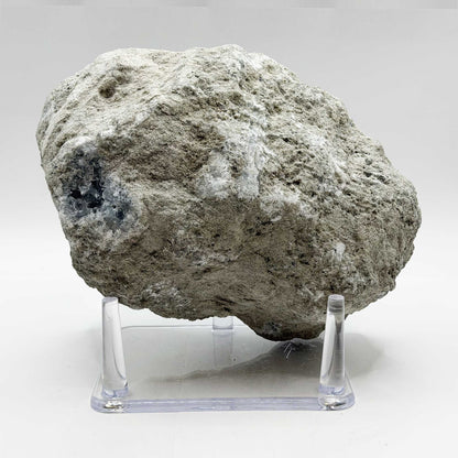 Celestite Crystal Geode - Gem Avenue Retail