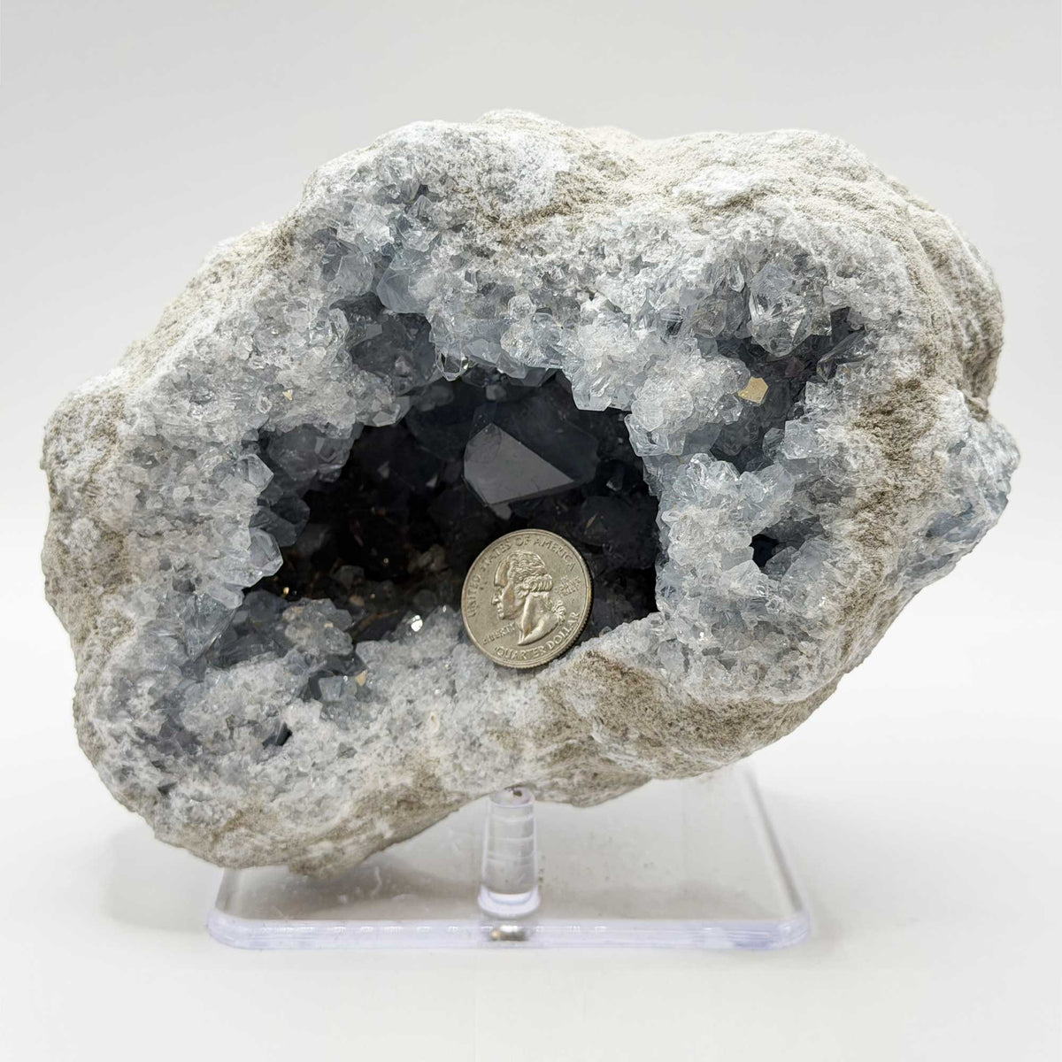 Celestite Crystal Geode - Gem Avenue Retail