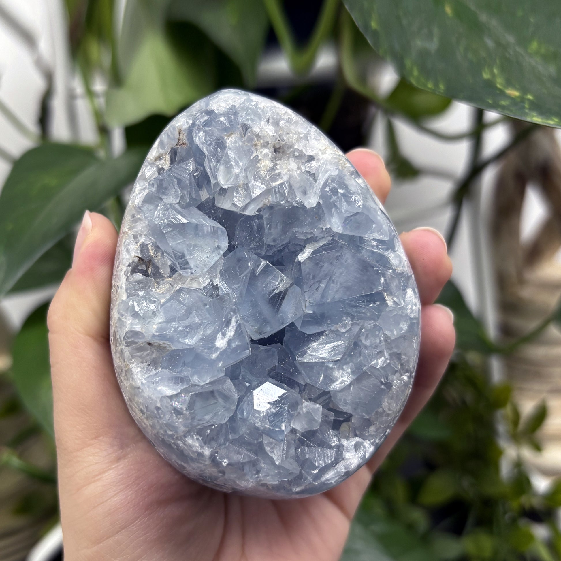 Celestite Crystal Geode - Gem Avenue