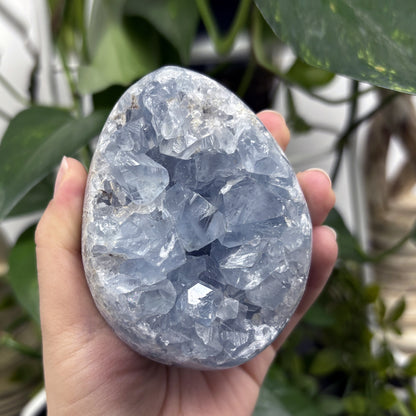 Celestite Crystal Geode - Gem Avenue
