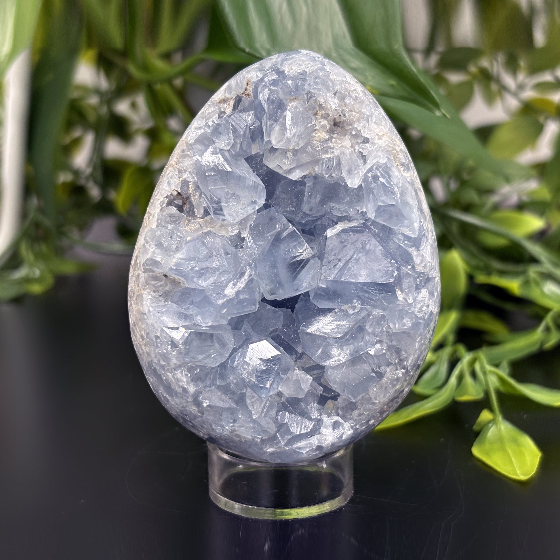 Celestite Crystal Geode - Gem Avenue
