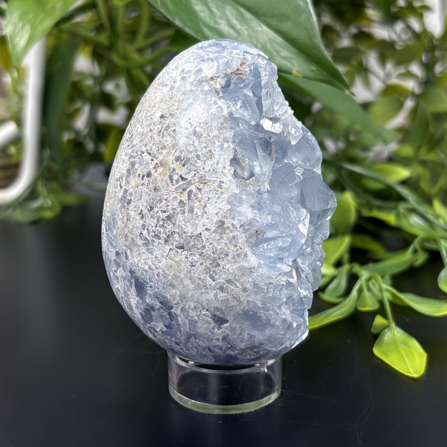 Celestite Crystal Geode - Gem Avenue