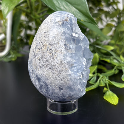 Celestite Crystal Geode - Gem Avenue