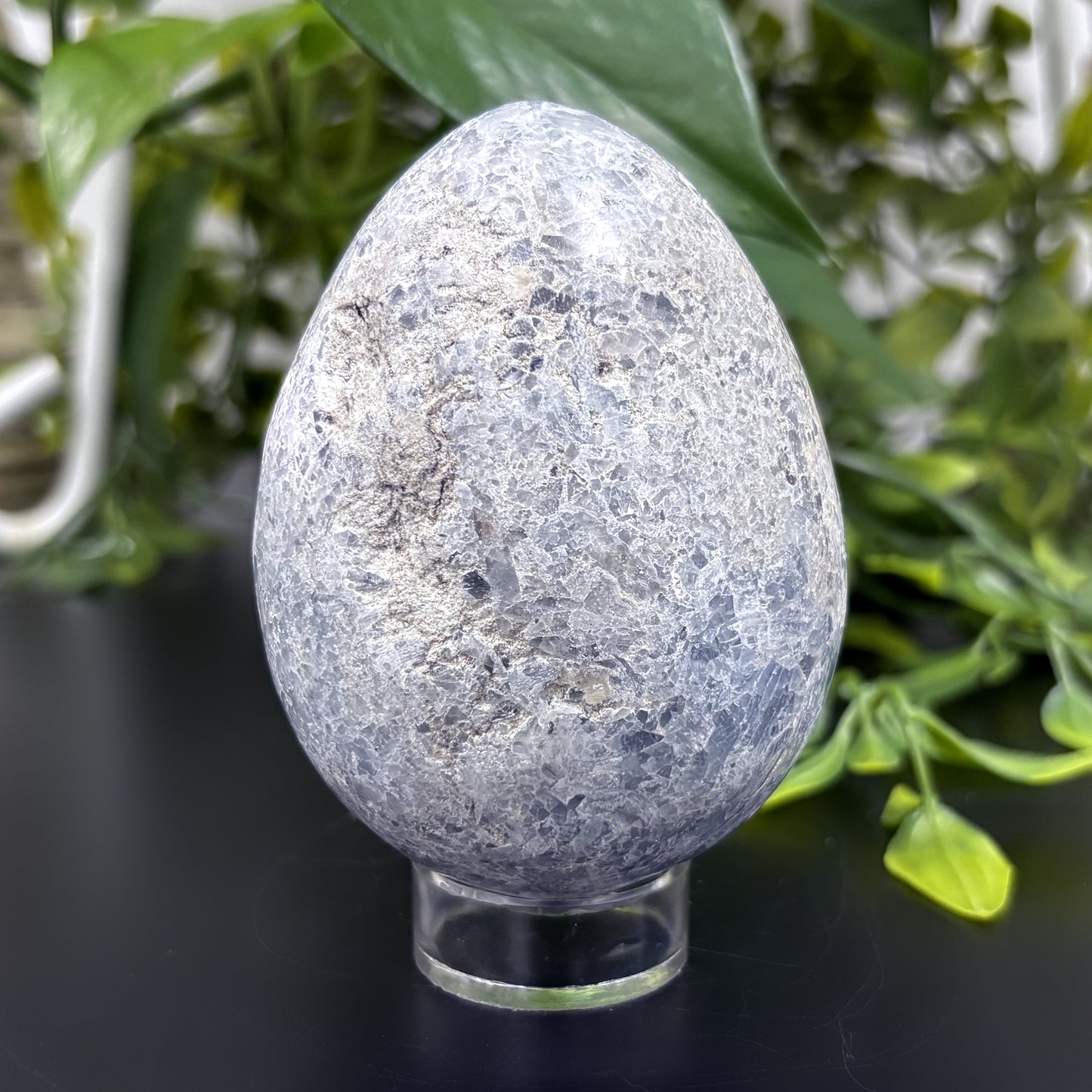 Celestite Crystal Geode - Gem Avenue