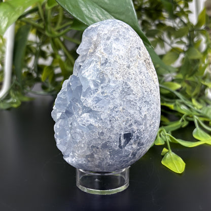 Celestite Crystal Geode - Gem Avenue
