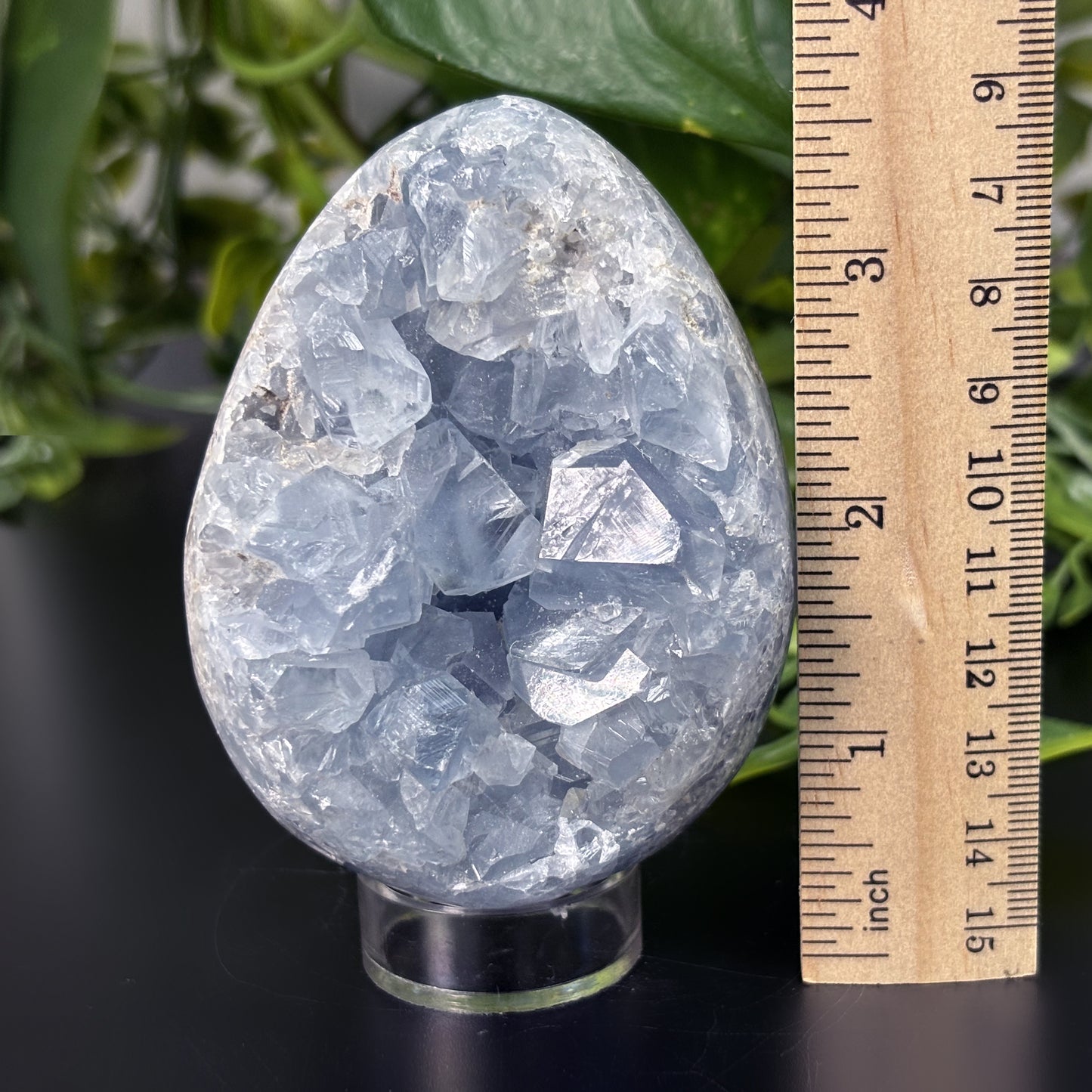 Celestite Crystal Geode - Gem Avenue