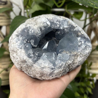 Celestite Crystal Geode - Gem Avenue