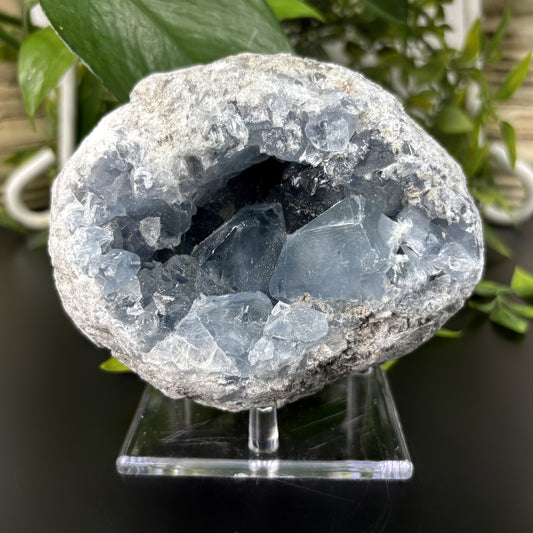 Celestite Crystal Geode - Gem Avenue