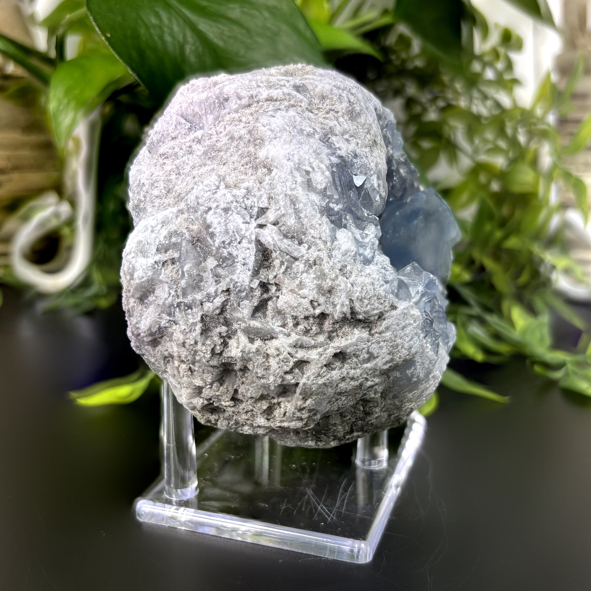 Celestite Crystal Geode - Gem Avenue