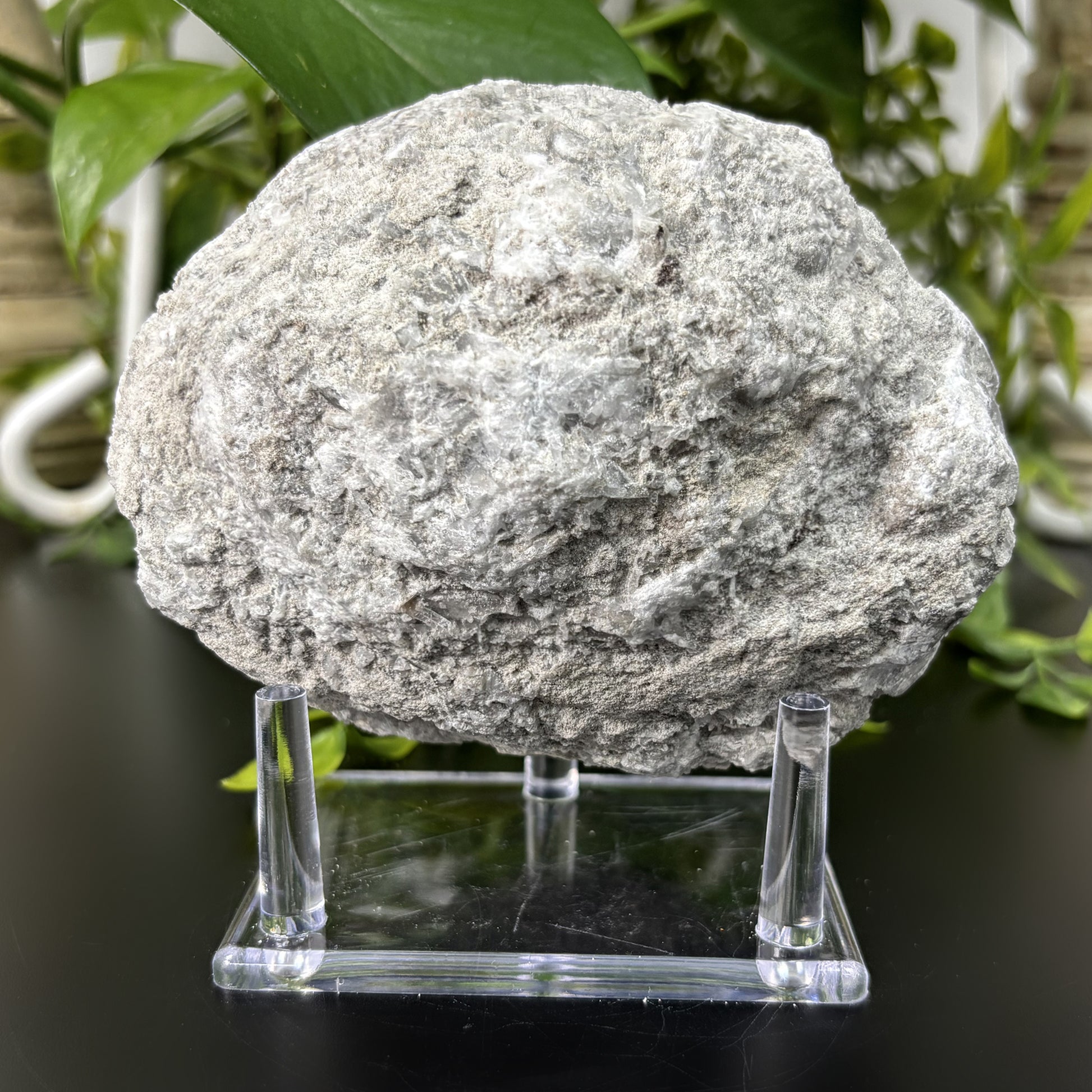 Celestite Crystal Geode - Gem Avenue