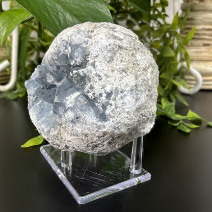 Celestite Crystal Geode - Gem Avenue