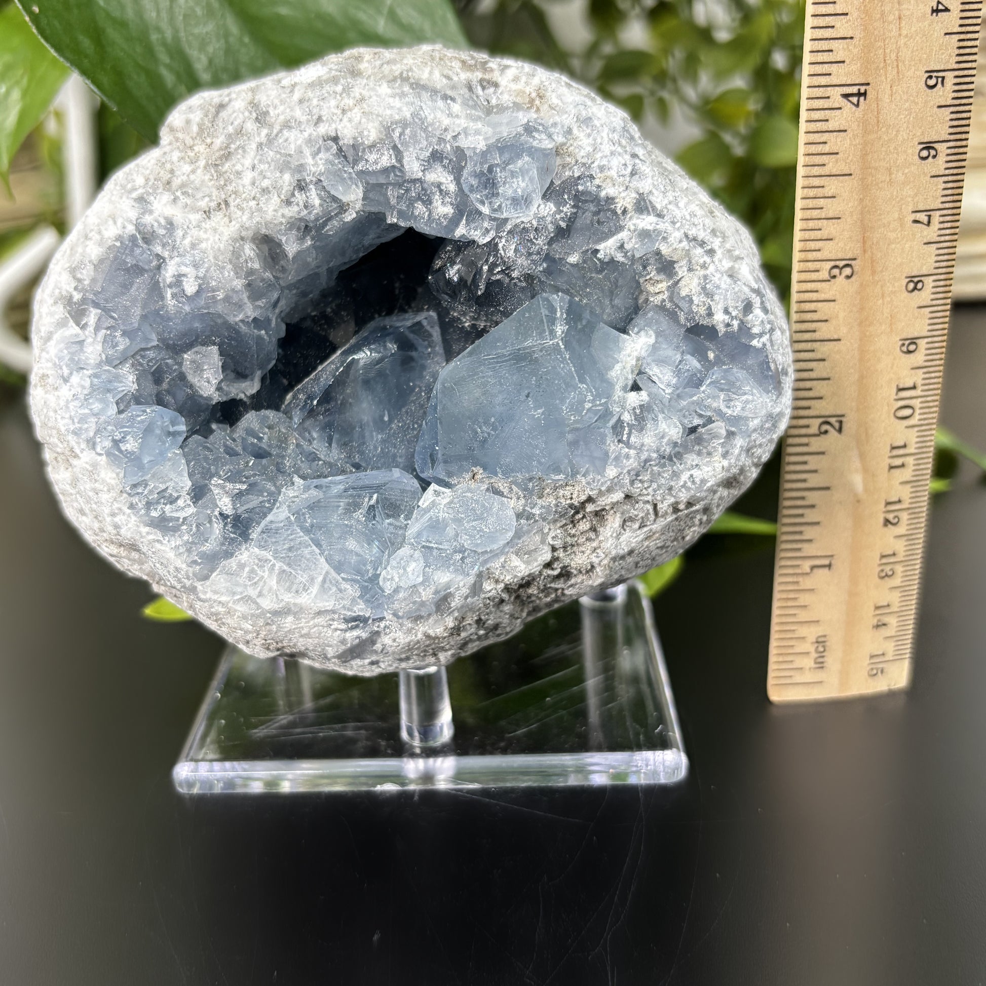 Celestite Crystal Geode - Gem Avenue