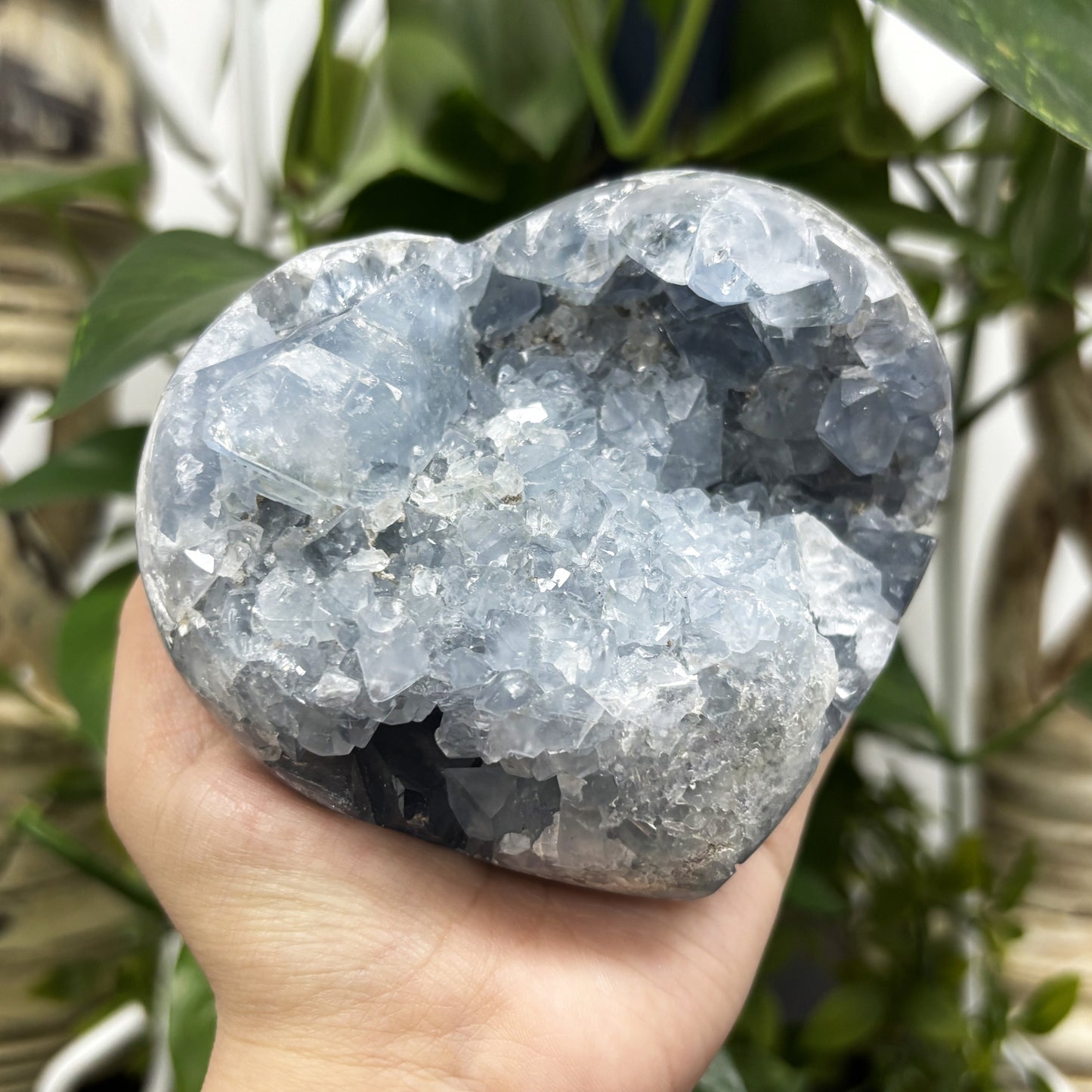 Celestite Crystal Gemstone Geode - Gem Avenue