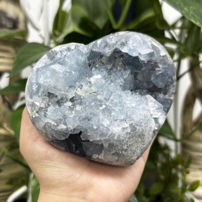 Celestite Crystal Gemstone Geode - Gem Avenue