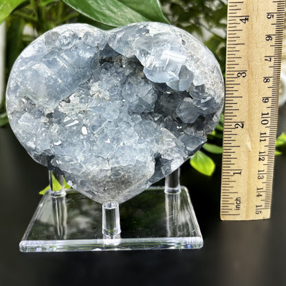 Celestite Crystal Gemstone Geode - Gem Avenue