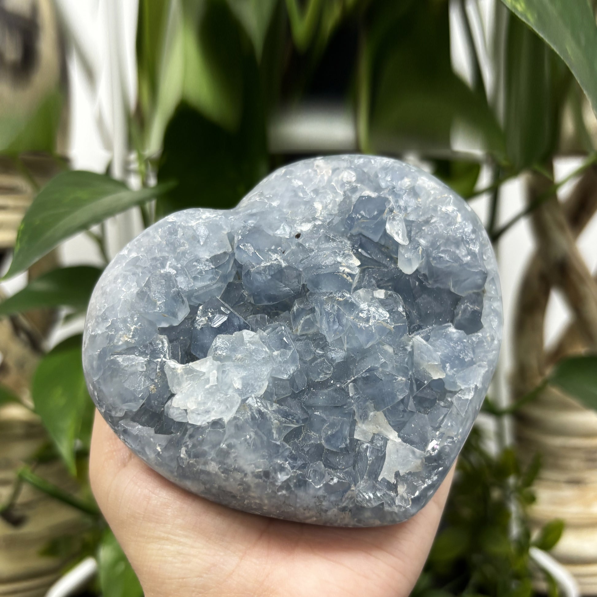 Celestite Crystal Gemstone Geode - Gem Avenue