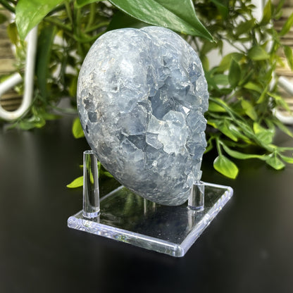 Celestite Crystal Gemstone Geode - Gem Avenue