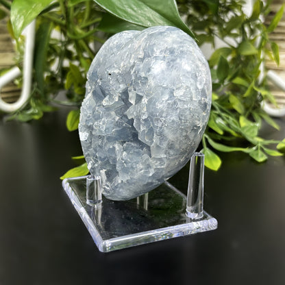 Celestite Crystal Gemstone Geode - Gem Avenue