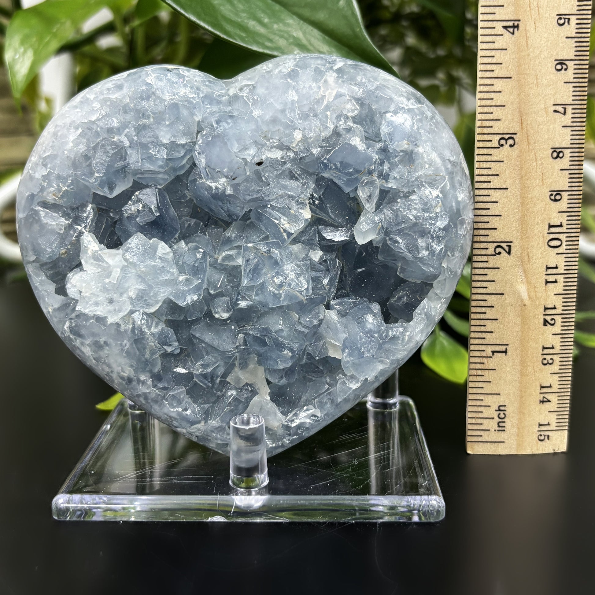 Celestite Crystal Gemstone Geode - Gem Avenue