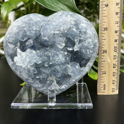 Celestite Crystal Gemstone Geode - Gem Avenue