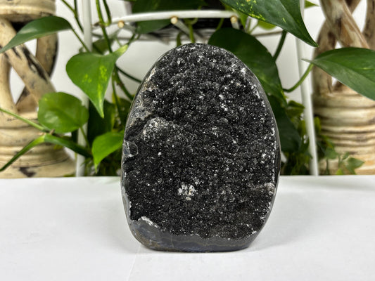 Black Amethyst Cut Base Geode - Gem Avenue