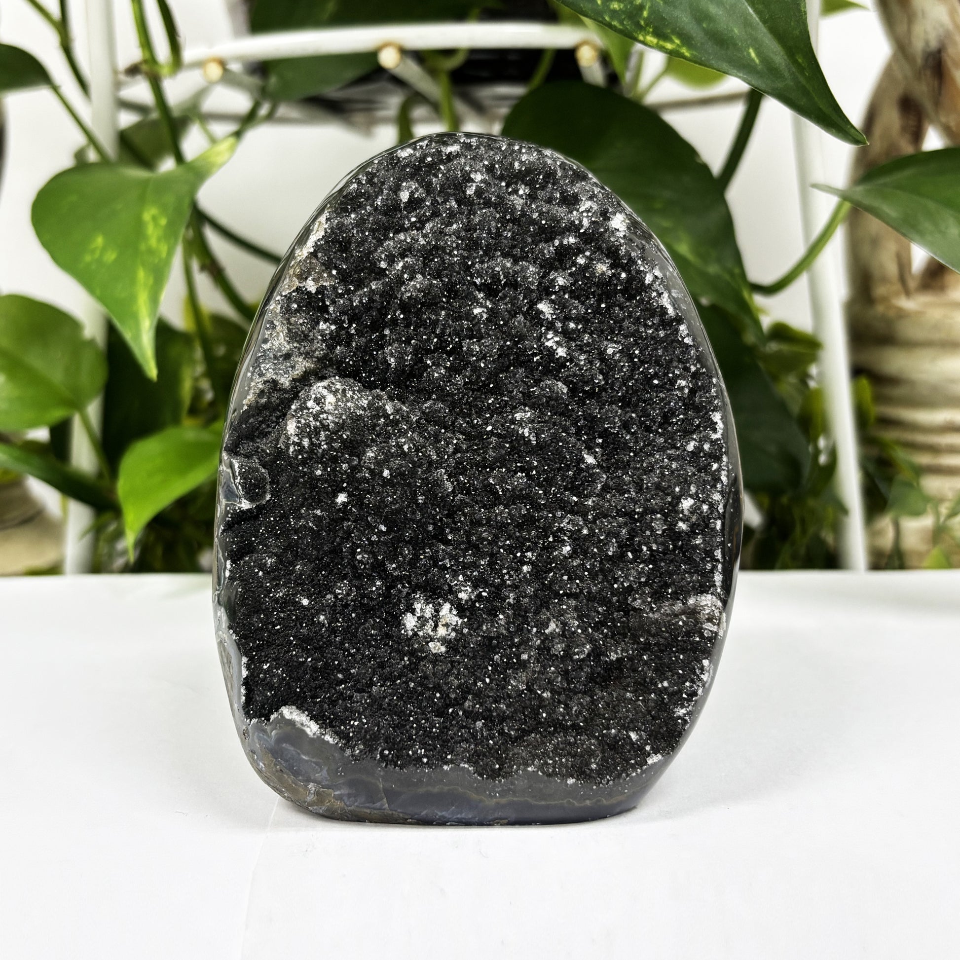 Black Amethyst Cut Base Geode - Gem Avenue