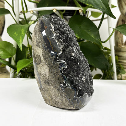 Black Amethyst Cut Base Geode - Gem Avenue