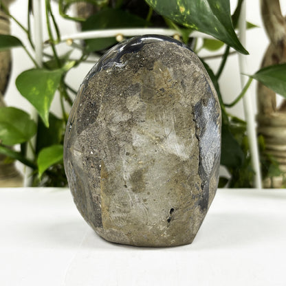 Black Amethyst Cut Base Geode - Gem Avenue