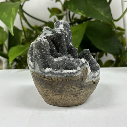 Black Amethyst Cut Base Geode - Gem Avenue