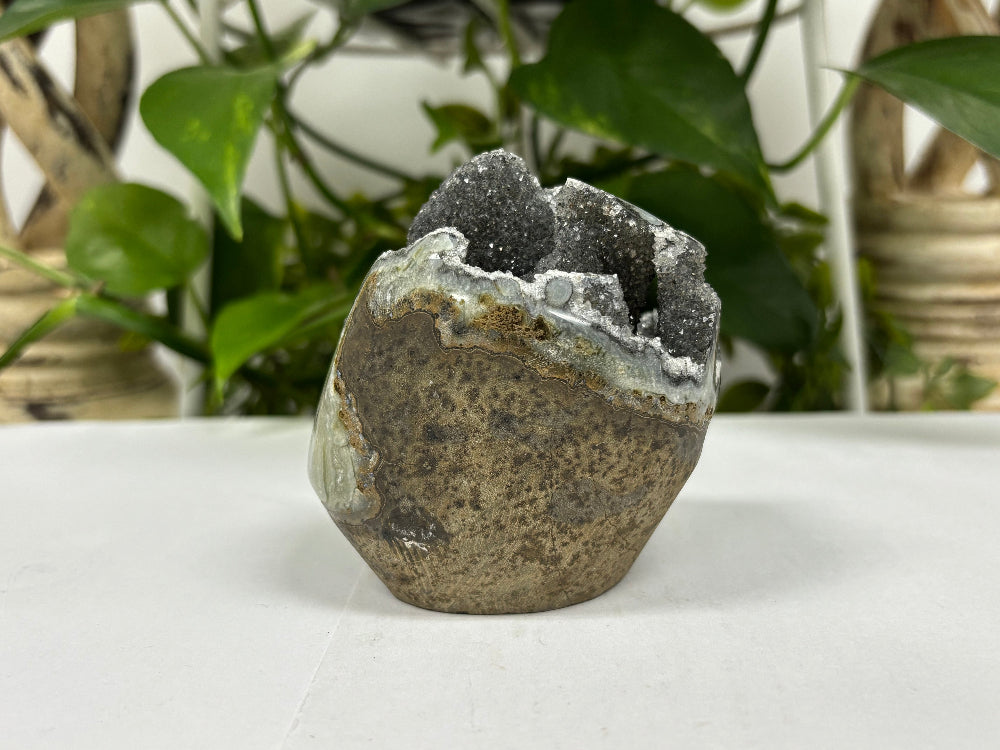 Black Amethyst Cut Base Geode - Gem Avenue