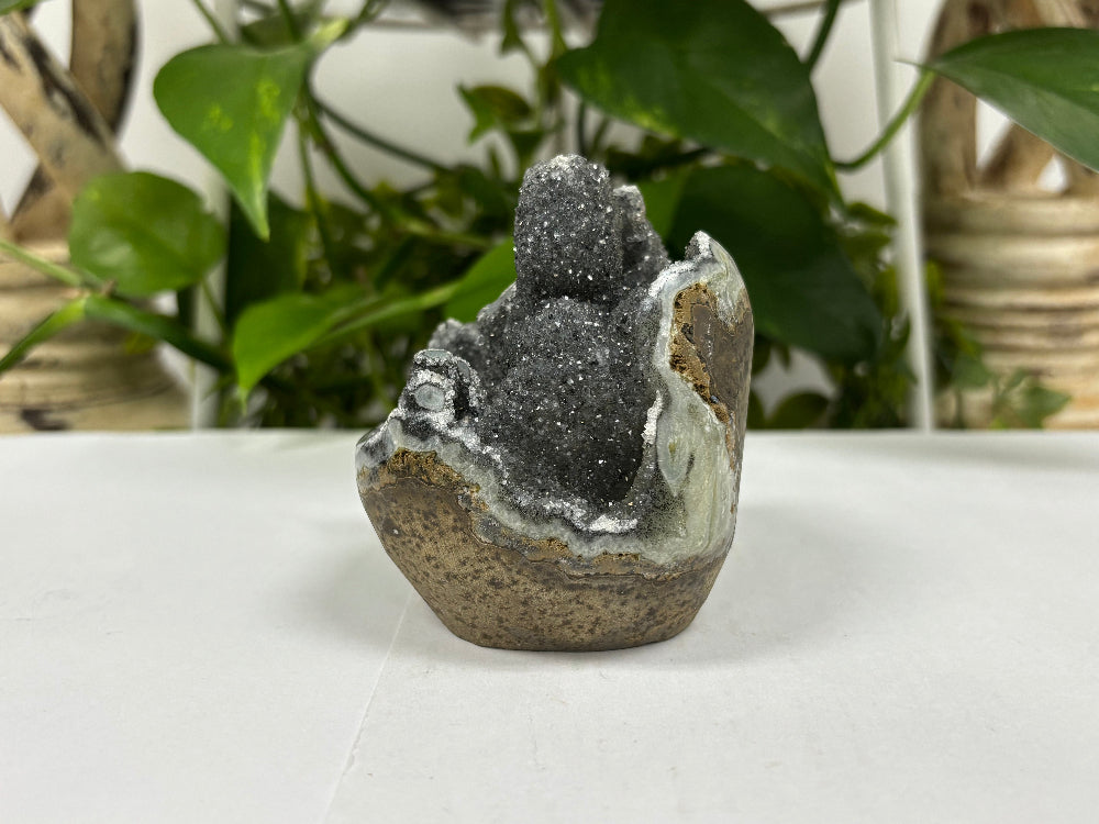Black Amethyst Cut Base Geode - Gem Avenue