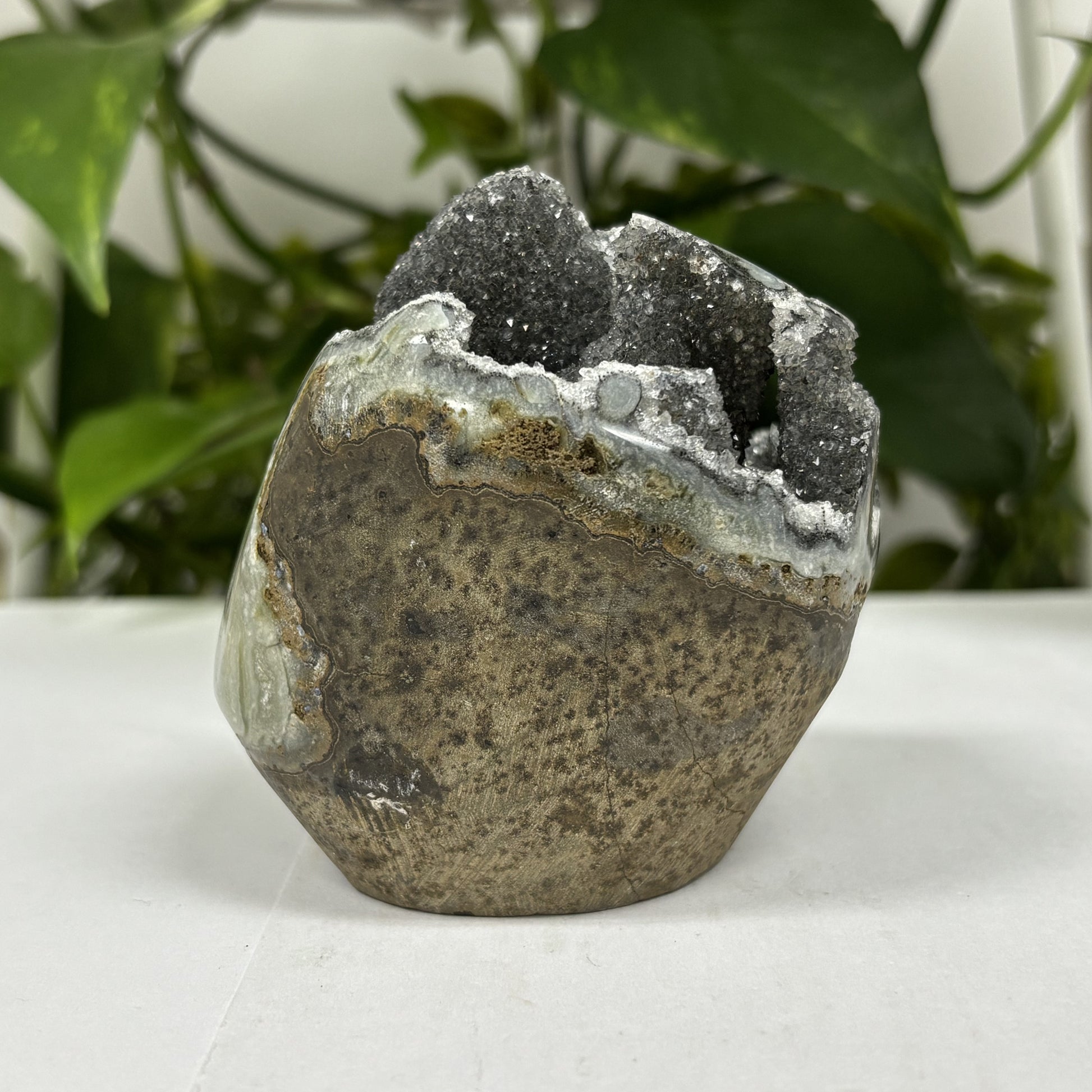 Black Amethyst Cut Base Geode - Gem Avenue