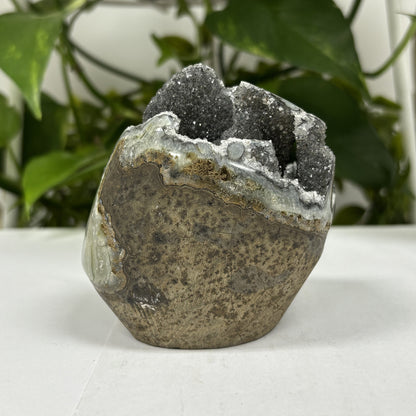 Black Amethyst Cut Base Geode - Gem Avenue