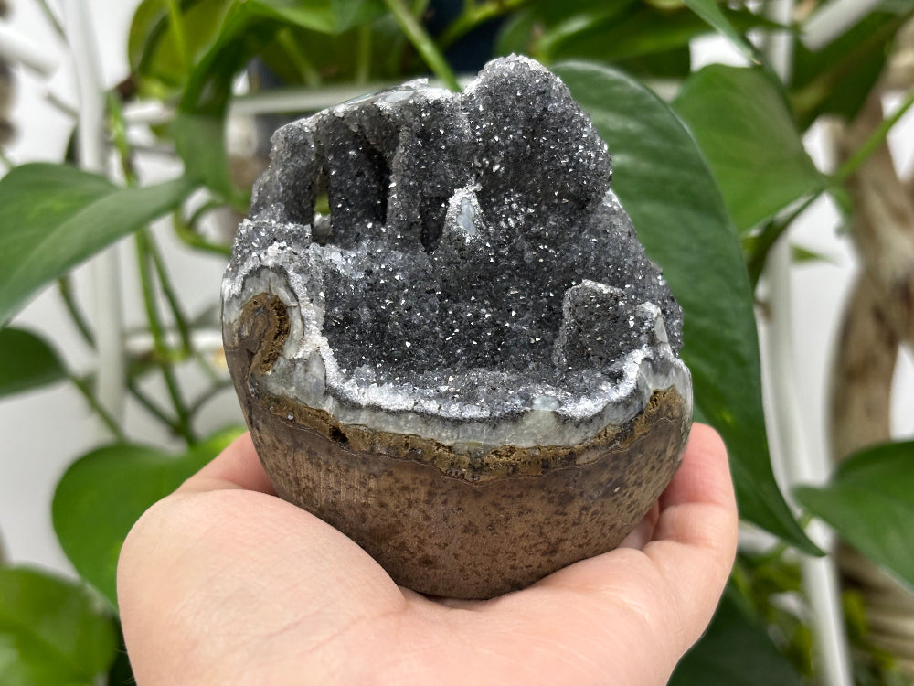 Black Amethyst Cut Base Geode - Gem Avenue