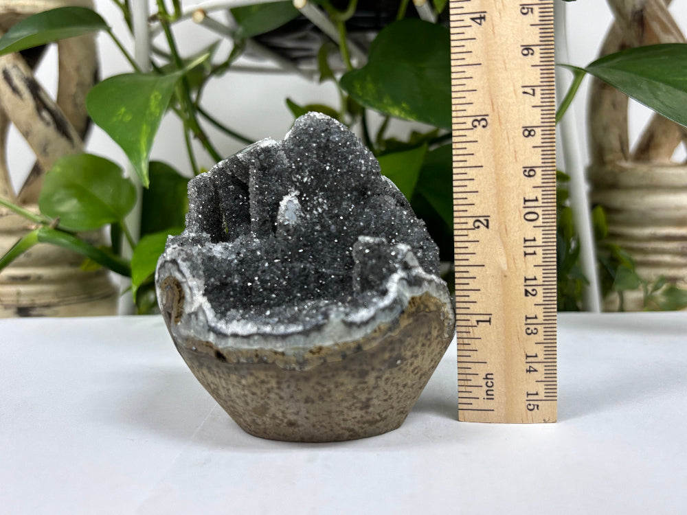 Black Amethyst Cut Base Geode - Gem Avenue