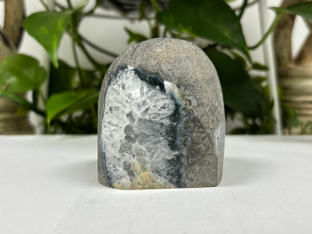 Black Amethyst Cut Base Geode - Gem Avenue