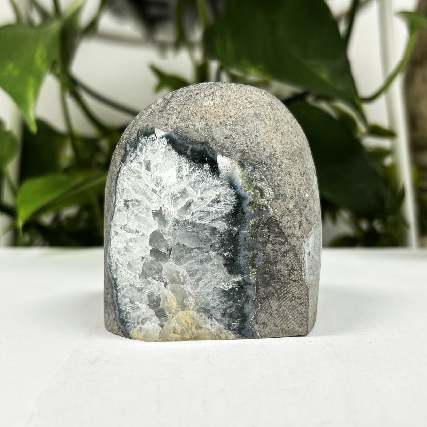 Natural Black Amethyst Cut Base Geode - Gem Avenue