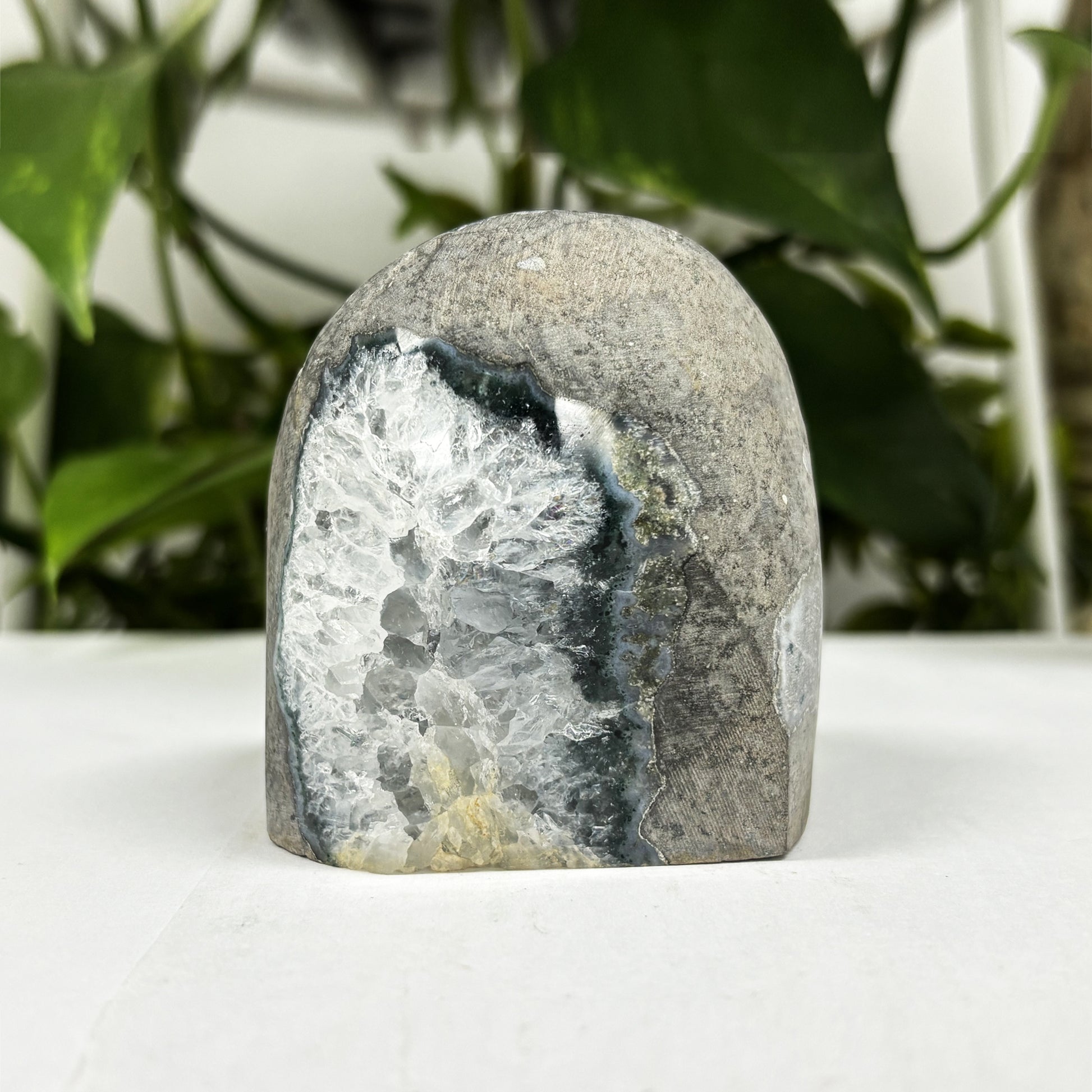 Natural Black Amethyst Cut Base Geode - Gem Avenue