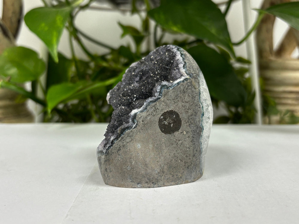 Black Amethyst Cut Base Geode - Gem Avenue