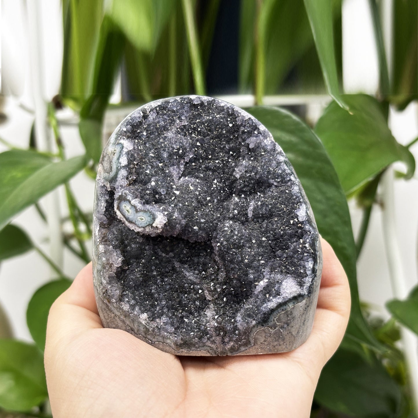 Natural Black Amethyst Cut Base Geode - Gem Avenue