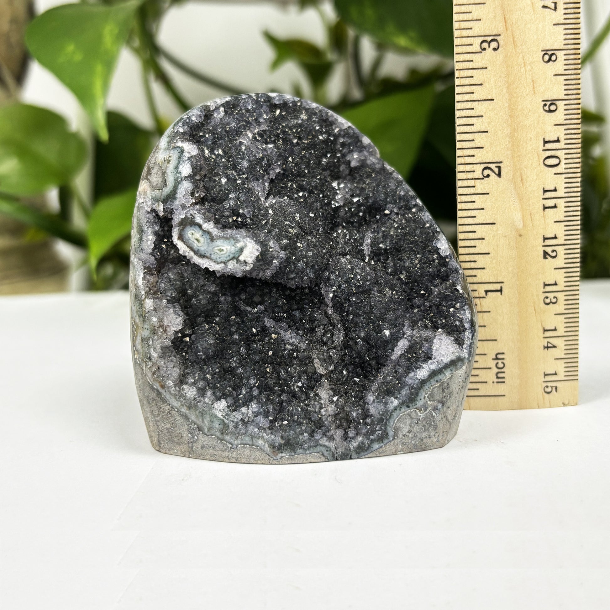 Natural Black Amethyst Cut Base Geode - Gem Avenue