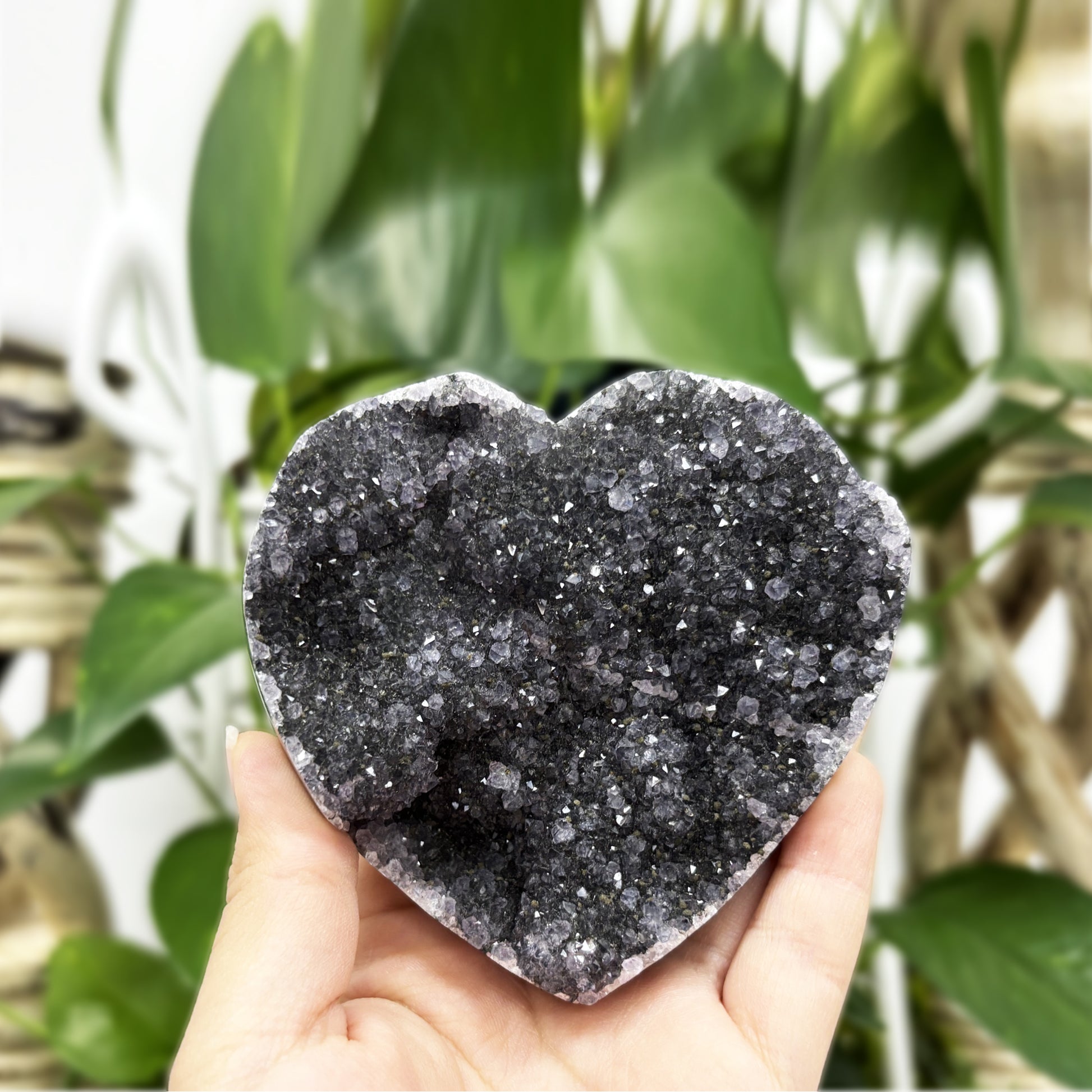 Natural Black Amethyst Crystal Geode - Gem Avenue
