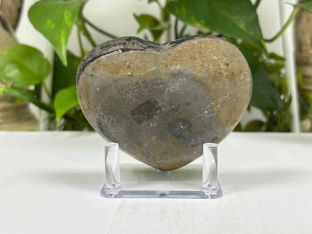 Black Amethyst Crystal Geode - Gem Avenue