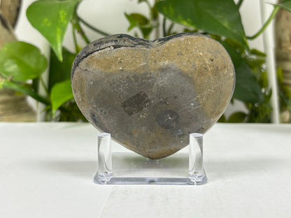 Black Amethyst Crystal Geode - Gem Avenue
